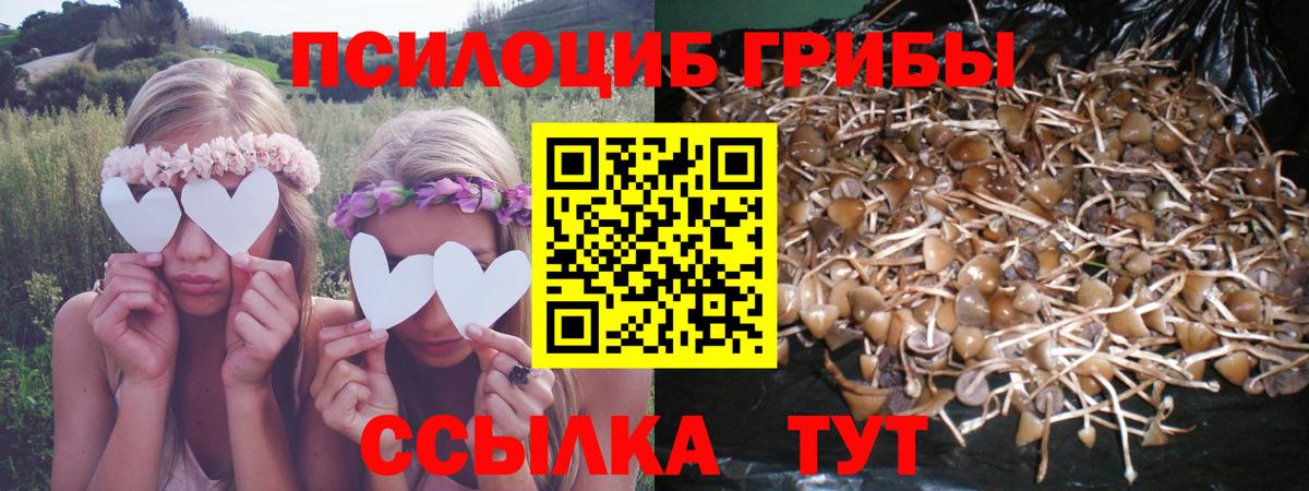 Псилоцибиновые грибы Magic Shrooms Камышлов