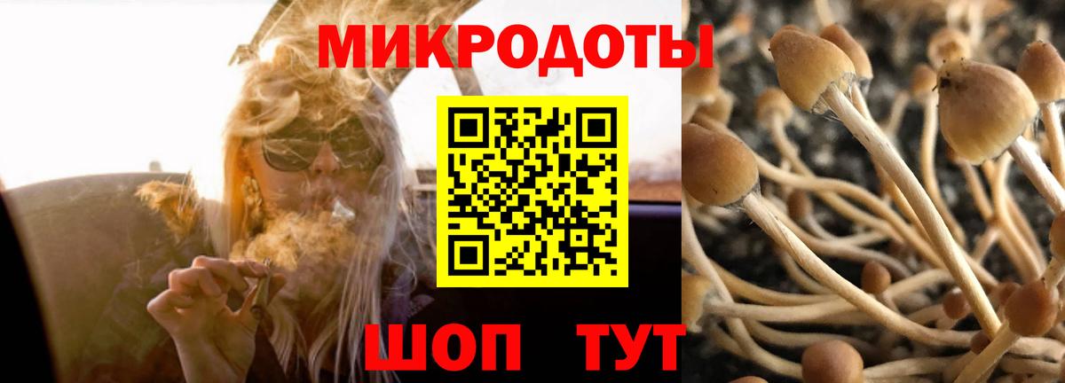 Камышлов  Псилоцибиновые грибы Psilocybe  Вход с VPN  Псилоцибиновые грибы мицелий 